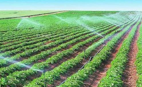 美女大奶18禁农田高 效节水灌溉